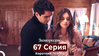 Зимородок 67 Cерия (Короткий Эпизод) (Русский дубляж)