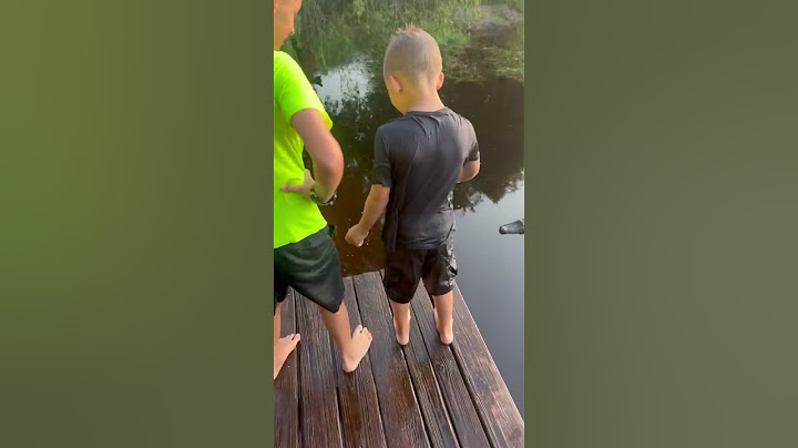 Original video kid pushes brother into pond with gator “update in description” #trending  #fake