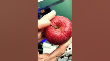 Beneficial &Non_beneficial bacteria in Apple outer surface view under a Microscope 🔬