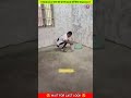 😱लड़की को किया impress ये सब दिखाकर 😱 @CrazyXYZ @MRINDIANHACKER @FctDk #shorts #ytshorts