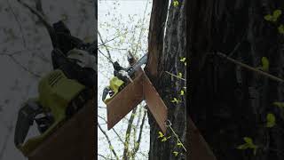 Can this replace hiring an arborist?