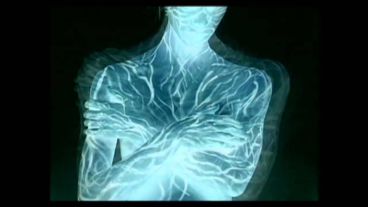 Allerseelen - Käferlied