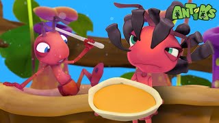 Ant Soup 🍲 | ANTIKS | Funny Cartoons For All The Family!