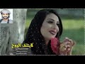 شيلة ابو حنظله 2018 لا يتلف الروح