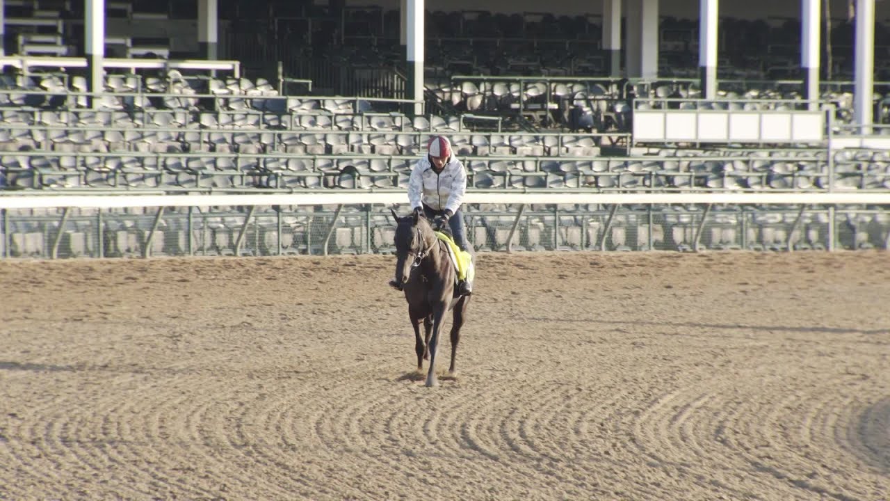 Kentucky Derby 149: Mandarin Hero