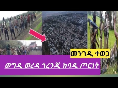 ቪዲዮ: በኢዲ ወቅታዊ ፍተሻ ውስጥ?