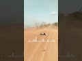مالي رسالة من سائقي الشاحنات المغاربة المحاصرين mp3