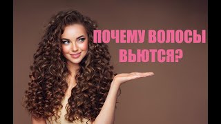 ПОЧЕМУ волосы вьются? Простое и понятное объяснение