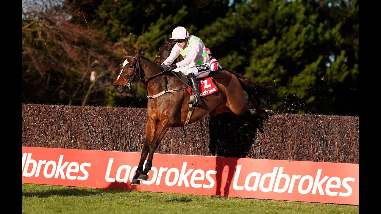 Min - 2019 Leopardstown (Dublin Racing Festival) G1 Champion Chase (Build Up, Race and Reaction)