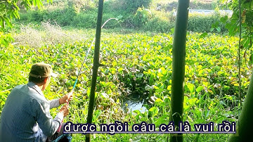 Câu cá. câu cá rô đồng theo con nước lên phần 2 tập 6 ]