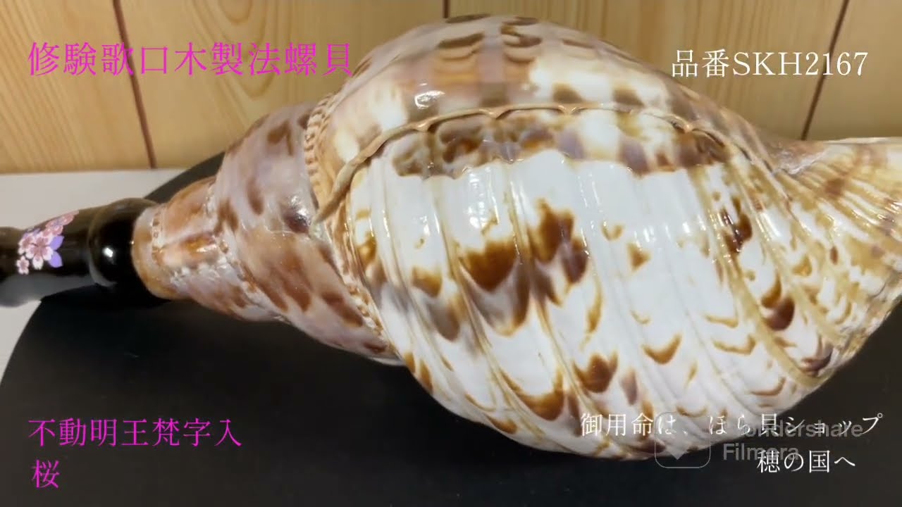 法螺貝（ほら貝）販売のお店