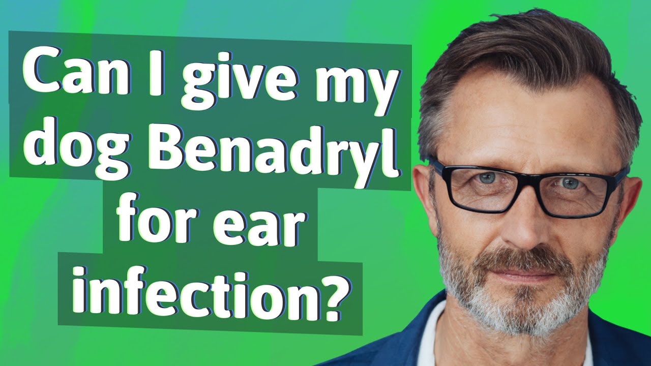 Can I give my dog Benadryl for ear infection? YouTube