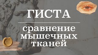 Классификация и сравнение мышечных тканей | Гистология