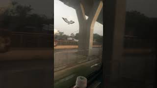 IMG 0294  21052560 1808