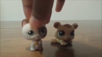 LPS: DIY 2# How to make an LPS Video, Series or Movie