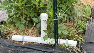 Pest control using a upright bait station for voles, rats, and mice that automatically feeds by FarmTechFlowers 90 views 11 months ago 5 minutes, 7 seconds