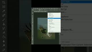 Cara mengubah foto menjadi gambar vector di photoshop