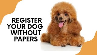 HOW CAN I REGISTER A DOG WITHOUT PAPERS? | Dog Breeder Recommended #puppy #ckc #Dogregistration