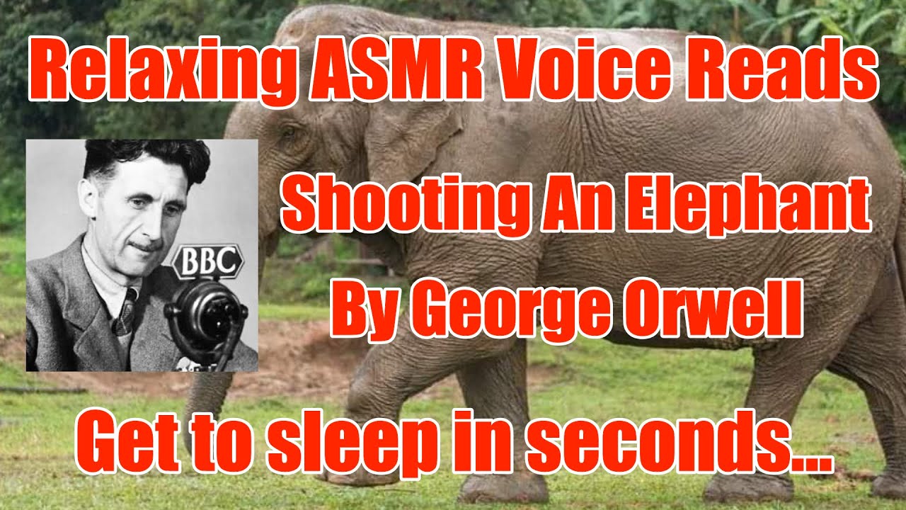 [ASMR] Shooting An Elephant Orwell Narrated By Jules Burt