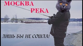 Зимний спиннинг на Москва-реке. Ловля щуки и судака на джиг зимой в Подмосковье..