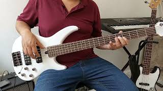 Video thumbnail of "De rodillas te pido cover bass"