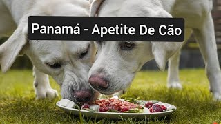 Panamá - Apetite De Cão ( Afro House)