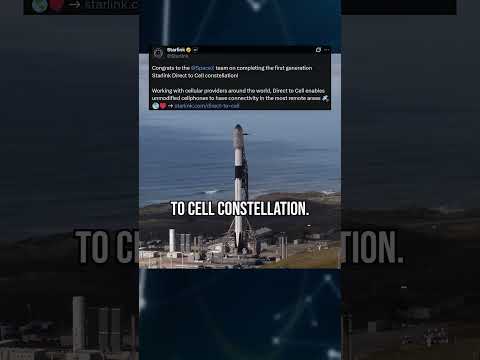 Elon Builds a