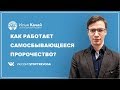 Как работает самосбывающееся пророчество при тревоге и панике / Илья Качай