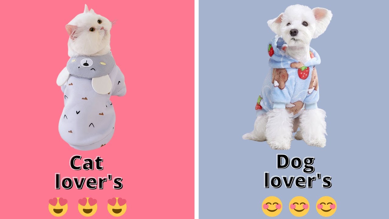 Cat lover's Vs Dog lover's The 5 Best Reasons to Love Cats Over Dogs 🐈🤦🏻‍♀️😅🤦🏼‍♀️🐕 YouTube