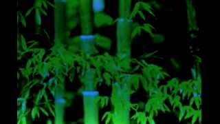 East West Players Presents A Little Night 