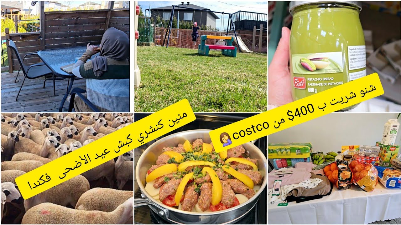 شحال كتكلفني التقدية ف costco🙈فين كنشري أضحية العيد 🐏كيفاش تعيش مزيان وتقتصد المصروف🙃شهيوات السعادة