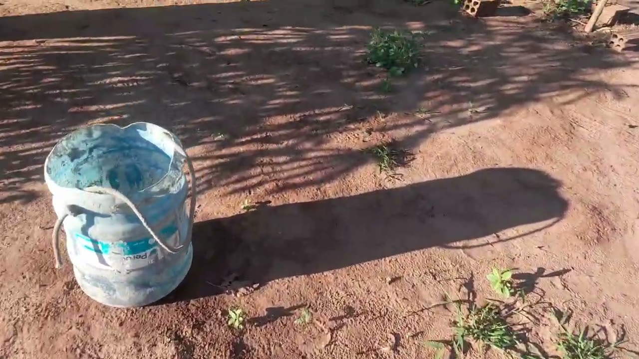 Tamos  com muitos projetos em andamento.