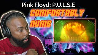 🔥🔥FIRST TIME REACTION TO Pink Floyd -Comfortably Numb (uncut version) PULSE  || THENEVERENDERREACTS