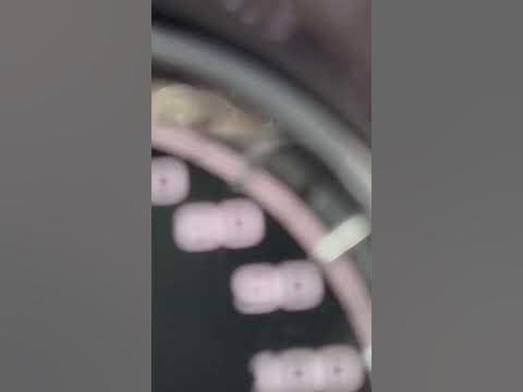 Speedometer is calibrated - YouTube