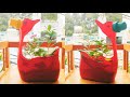 ý tưởng tái chế chai nhựa làm chậu trồng hoa 2 chú vịt|| HAVI TV