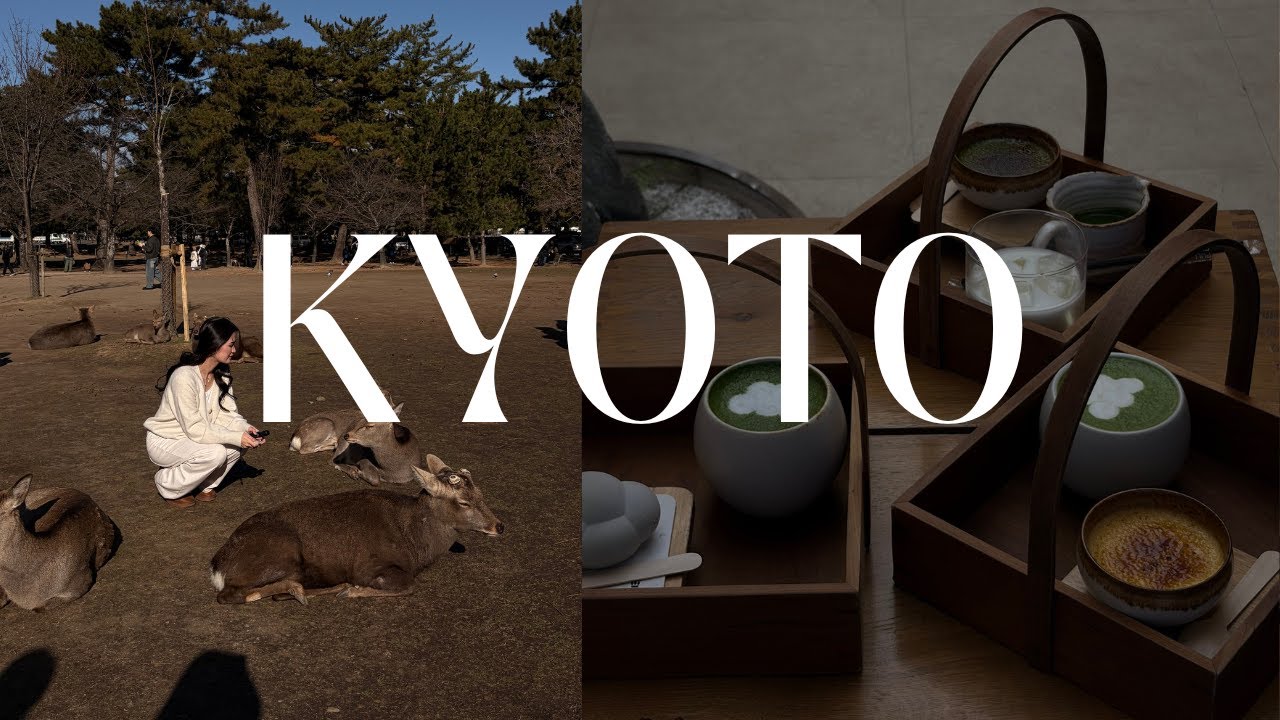 Киото, день 2… На нас напал олень 😭🦌