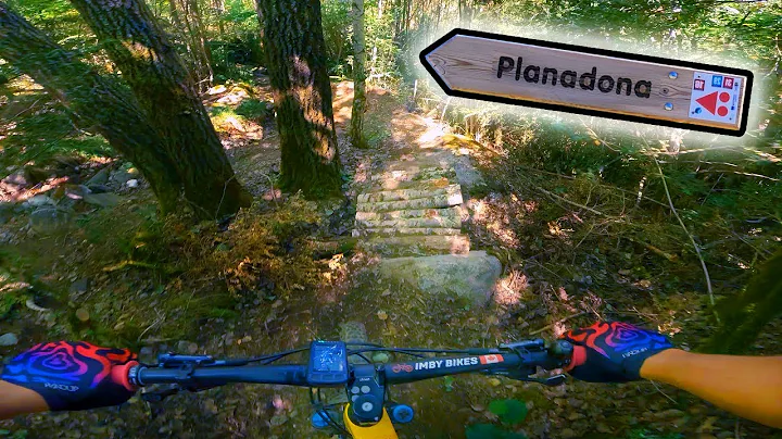 This Trail Was  Than I Could Read