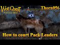 How to court pack leaders  wolfquest anniversary edition