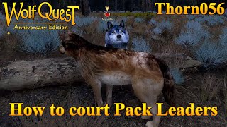 How to court Pack Leaders || WolfQuest Anniversary Edition