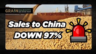US Soybean Sales to China are Down 97% - Why??