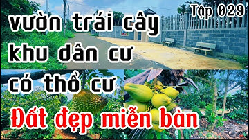 chú hùng cần nhượng lại vườn trái cây đủ loại có thổ cư ở bà rịa vũng tàu