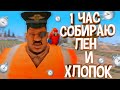 СКОЛЬКО МОЖНО СОБРАТЬ ЛЬНА И ХЛОПКА ЗА 1 ЧАС на АРИЗОНА РП в GTA SAMP