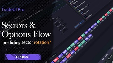Options Flow by Sector : how to spot sector rotation and options premium by market sector