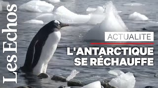 L’Antarctique se réchauffe 3 fois plus vite que le reste du monde