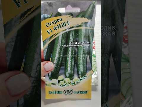 Эти Огурцы Завалят Урожаем, Собираю Ведрами, Лучшие Сорта Огурцов, Обязательно посажу 2023