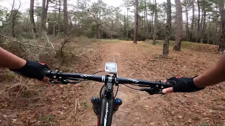 (Amber) Mtbn Blakley State Park