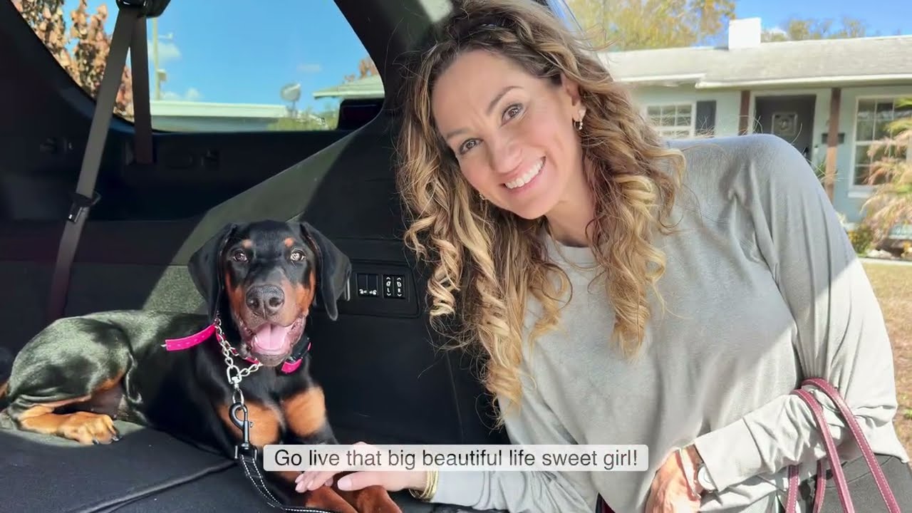 Doberman Puppy Off Leash reliable In 2 Weeks