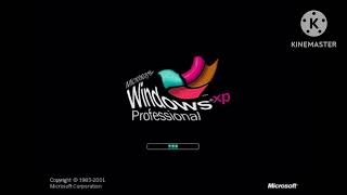 Does respond windows xp professional startup sound