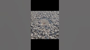 How to create a city loop video// #loops #loopmusic #amazing #video#