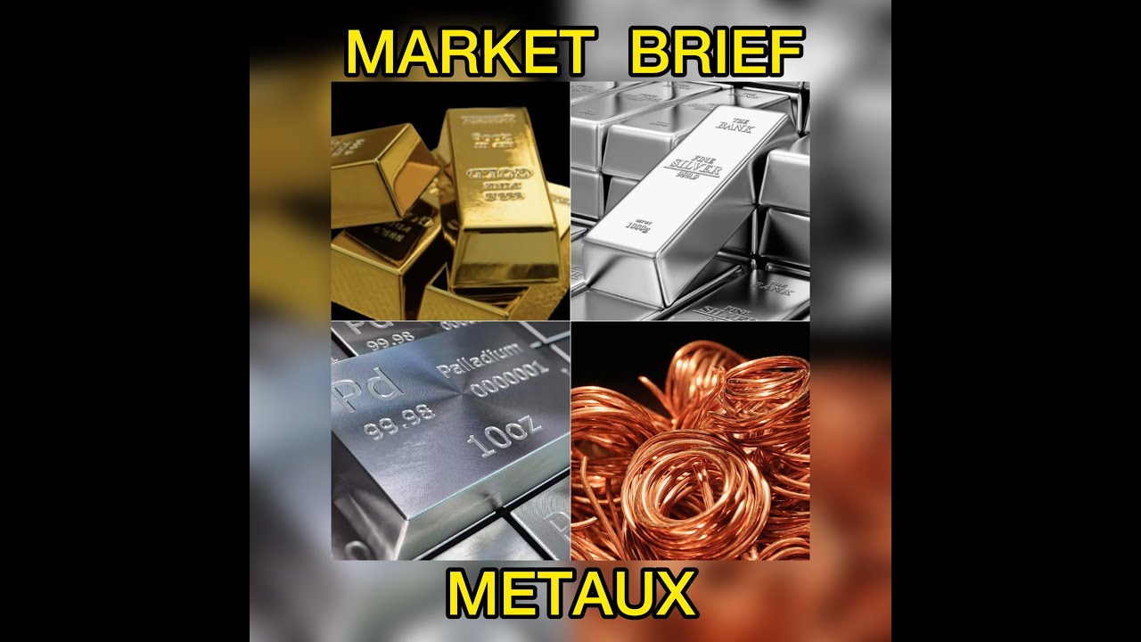 Mtaux Market Brief  Gold Argent Cuivre Palladium  Platinium  Lithium  Nickel par James D Touati